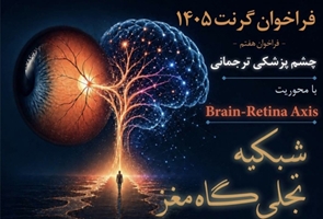 رقابت علمی در هفتمین گرنت چشم‌پزشکی ترجمانی کلید خورد